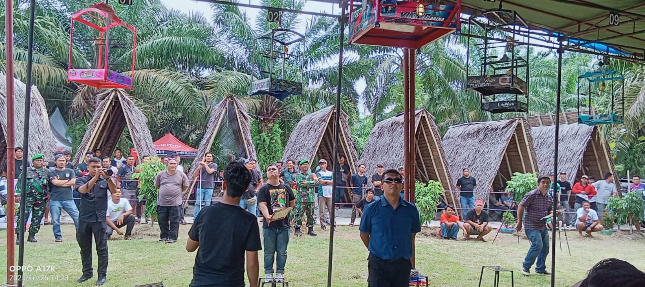 Ratusan peserta mengikuti Festival dan Lomba Burung Berkicau Piala Dandim 0208Asahan di Desa Hessa Air Genting, Minggu (26/10)