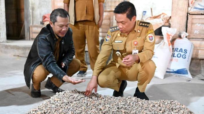 Bupati Humbahas Oloan Nababan saat meninjau kegiatan pertanian di Doloksanggul.