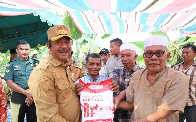Bupati Mandailing Natal, Saipullah Nasution, saat menyerahkan bantuan bibit jagung hibrida kepada kelompok tani di Desa Sayurmaincat, Hutabargot.