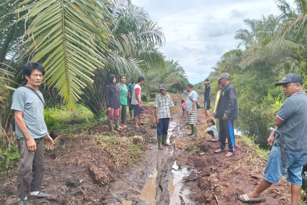 Kondisi jalan Desa Aek Korsik yang tertutup lumpur, menyulitkan warga dan aktivitas harian di Labuhanbatu Utara.