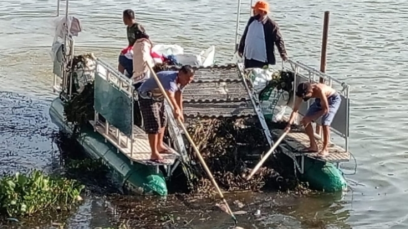 Tim gabungan mengevakuasi tumpukan ikan mati dari perairan Danau Toba di Kecamatan Pangururan, Samosir.