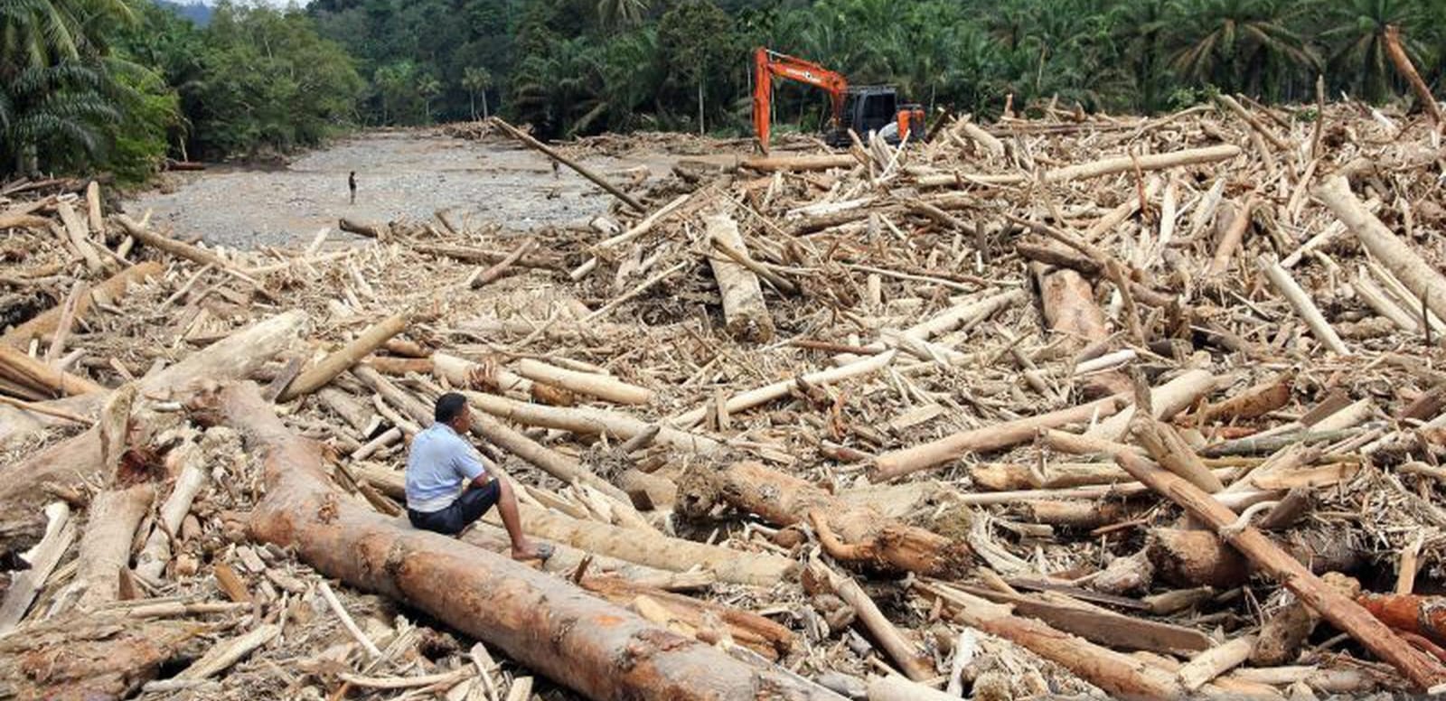 Gelondongan kayu memenuhi Sungai Batang Toru saat banjir dan longsor menerjang wilayah Tapsel.