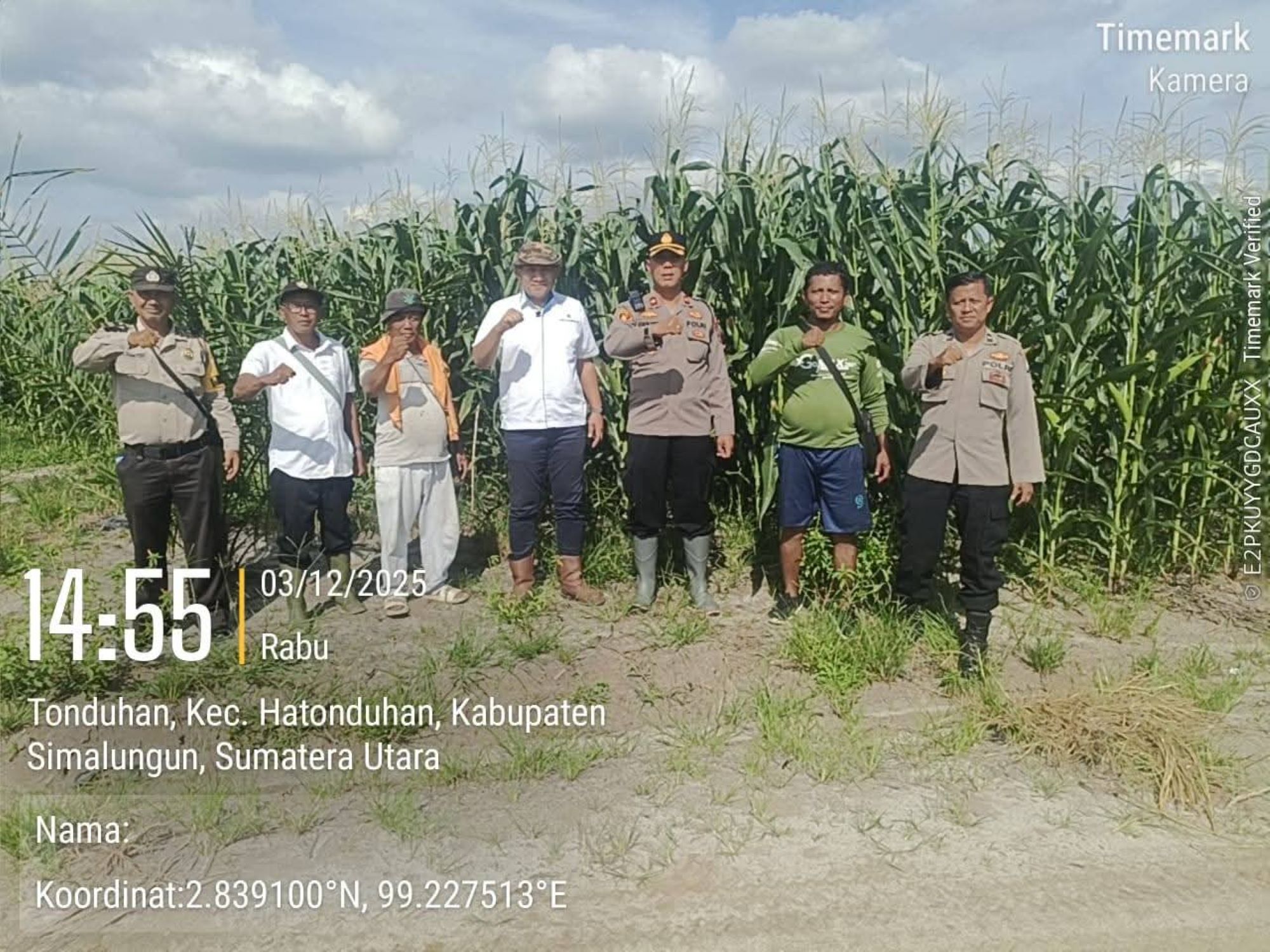 Kapolsek Tanah Jawa, Kompol Asmon Bufitra, S.H., M.H., memimpin langsung kegiatan sambang dan monitoring ke lokasi penanaman jagung di Afdeling I Kebun PTPN IV Regional II Tonduhan.