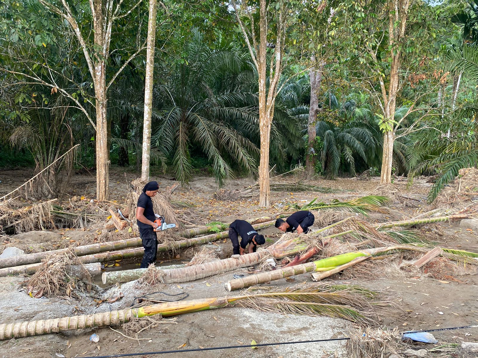 Brimob Polda Sumut bangun MCK dan tandon air bersih bagi korban banjir bandang Batang Toru untuk penuhi kebutuhan sanitasi di pengungsian.