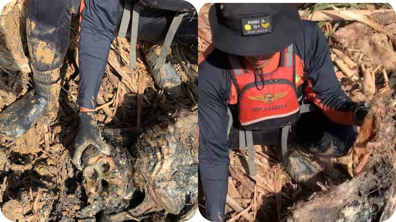 Relawan menemukan bangkai yang diduga Orangutan Tapanuli di pinggir Sungai Garoga, Pulo Pakkat, Kecamatan Sipabangun, Tapanuli Tengah, Rabu (3/12/2025).