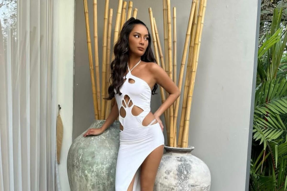 DJ Panda menyampaikan permohonan maaf secara resmi kepada Erika Carlina dalam jumpa pers di kawasan Sudirman, Jakarta.