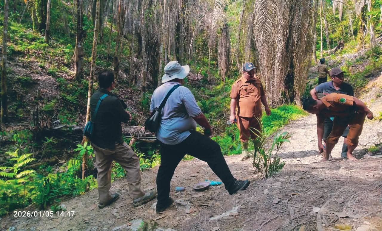 Petugas kehutanan bersama aparat melakukan pengecekan lokasi kemunculan induk dan anak Harimau Sumatera di Desa Siamporik, Labura.