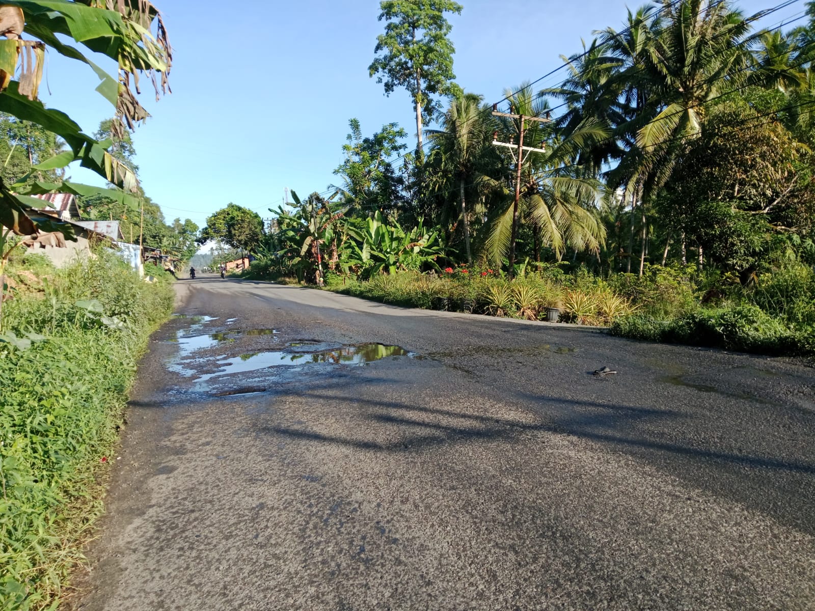 Kondisi Jalan Nasional di Desa Tuhegeo, Gunungsitoli Idanoi, berlubang dan tergenang air, membahayakan keselamatan pengguna jalan.