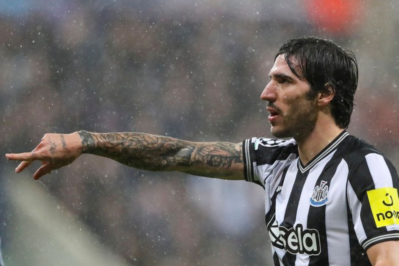 Sandro Tonali menjadi incaran Liverpool pada bursa transfer setelah tampil impresif bersama Newcastle United. Juventus juga dikabarkan berminat.