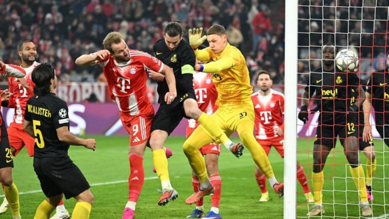Harry Kane merayakan golnya saat Bayern Munich mengalahkan Union St Gilloise 2-0 pada Matchday 7 Liga Champions di Allianz Arena.