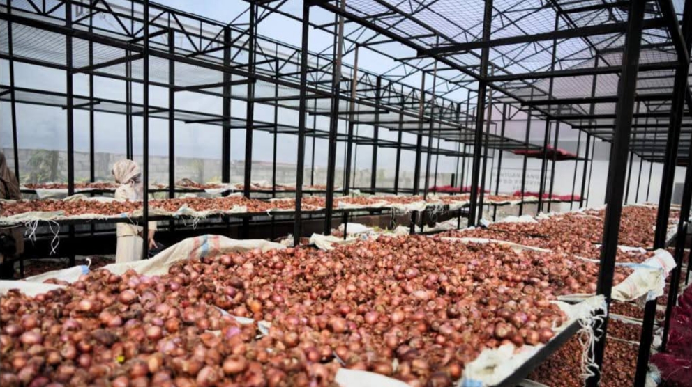 Bupati Karo Antonius Ginting menghadiri serah terima bantuan Instore Dryer dan Gerakan Tanam Bawang Merah di Desa Selandi, Kecamatan Payung, Rabu (21/1/2026).