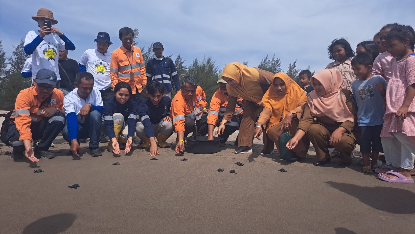Manajemen PT Agincourt Resources bersama Tim Ovata Indonesia melepaskan tukik di Pantai Muara Upu, Desa Muara Upu, Kecamatan Muara Batangtoru, Tapsel, Selasa (20/1/2026).