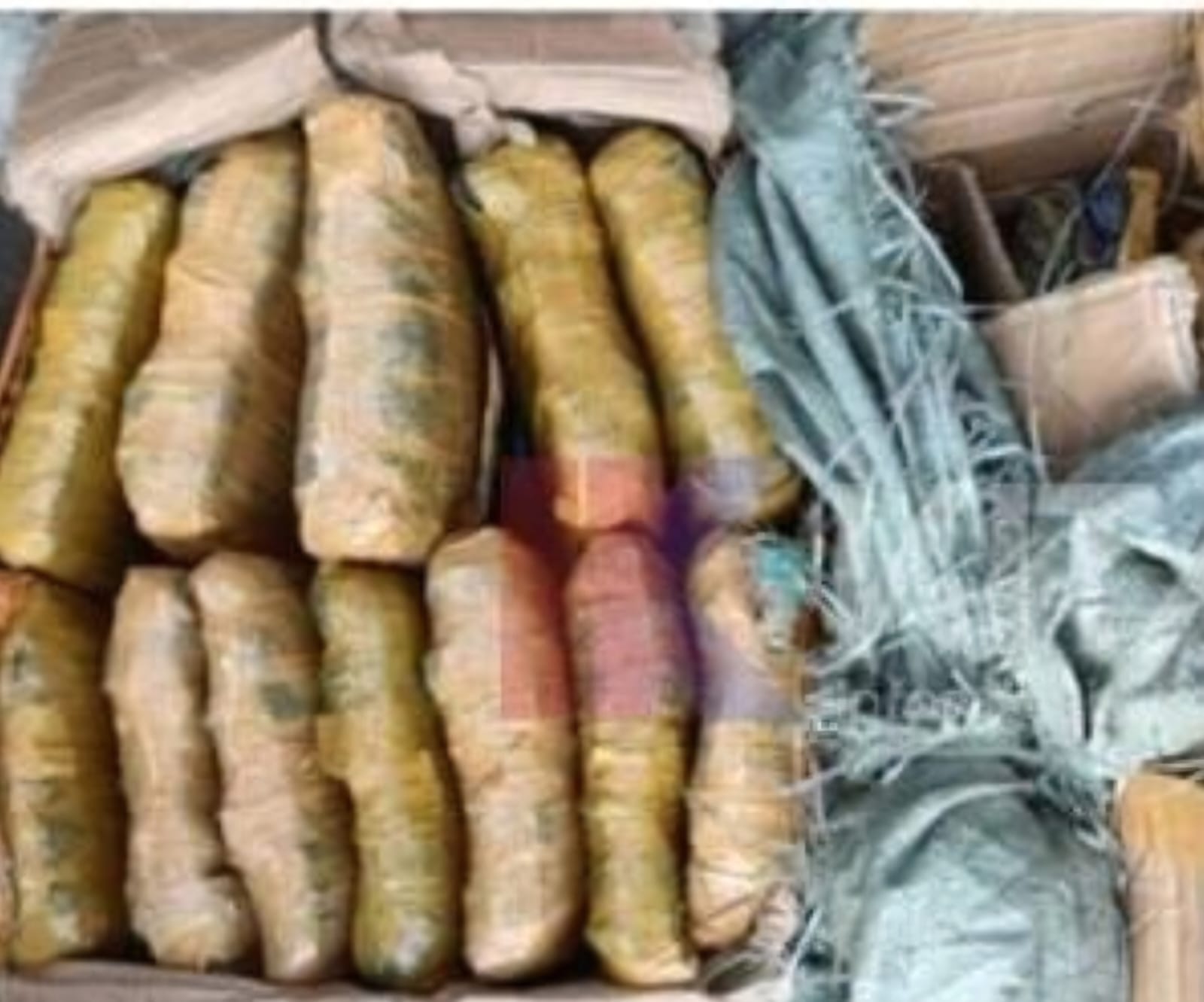 Barang bukti 24 bal daun ganja kering siap edar yang diamankan Satres Narkoba Polres Padangsidimpuan.