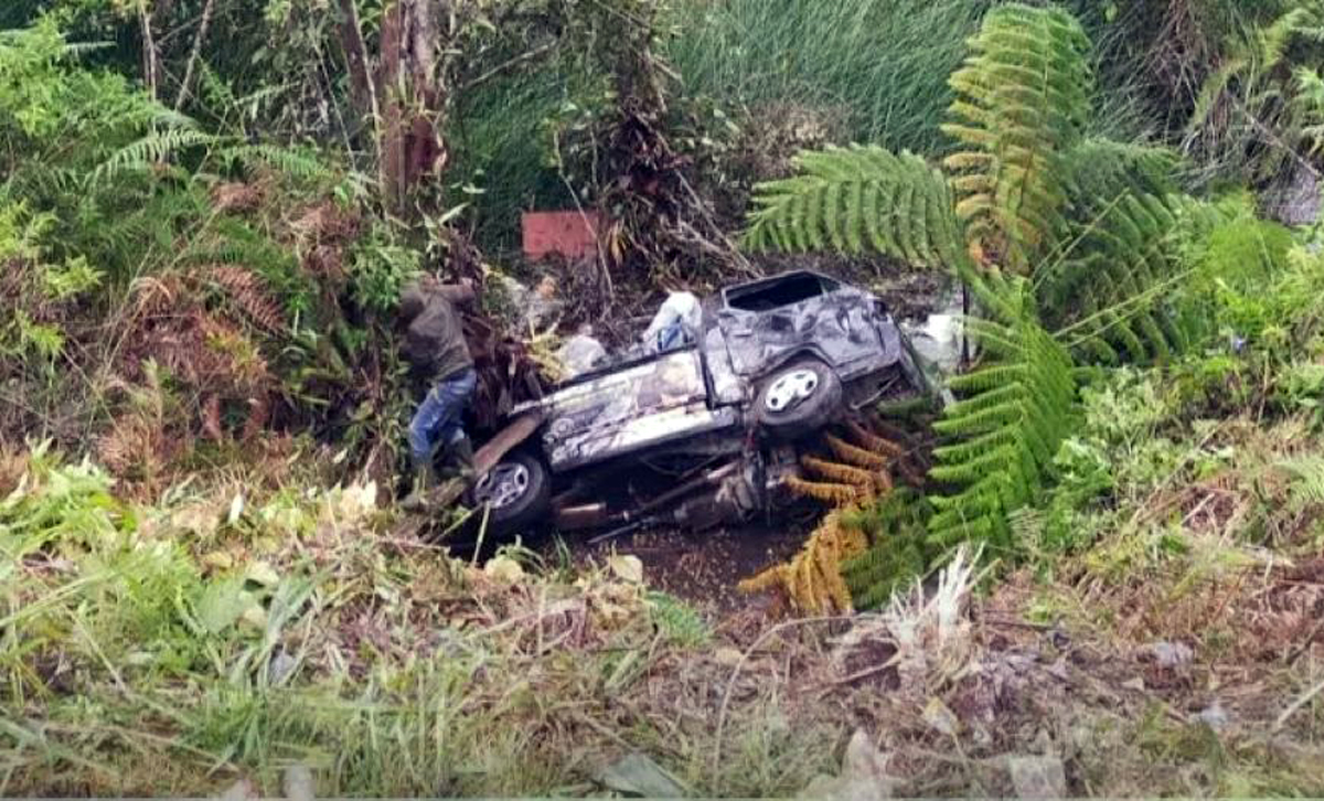 Mobil pikap L300 bermuatan duku terjun ke empang Tambok Simunjal, Desa Hutapaung, Kecamatan Pollung, Humbahas, mengalami kerusakan parah usai kecelakaan tunggal.