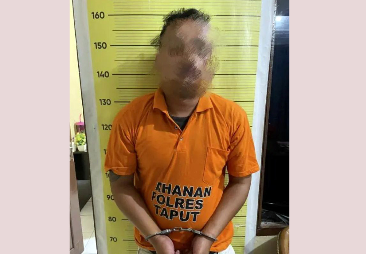 Petugas Satresnarkoba Polres Taput mengamankan tersangka pengedar ganja berinisial IS beserta barang bukti, Senin (2/2/2026).