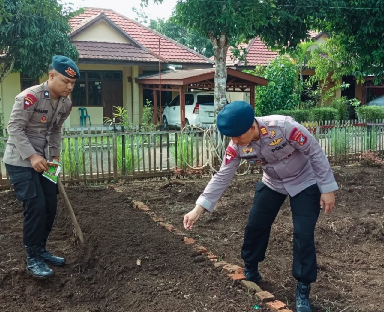 Personel Kompi 2 Batalyon C Sat Brimob Polda Sumatera Utara melakukan perawatan dan penyemaian bibit sayuran di lahan Pekarangan Pangan Lestari (P2L).