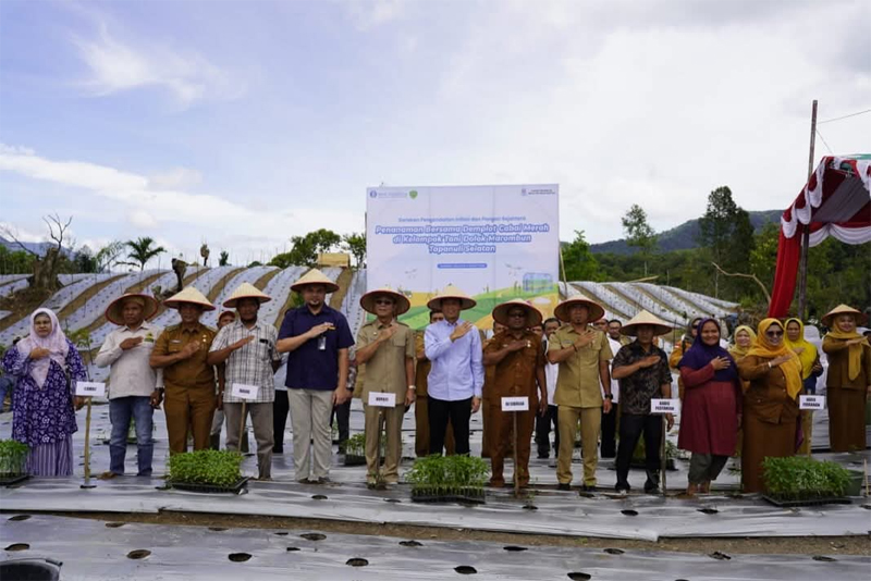 Bupati Tapsel, H.Gus Irawan Pasaribu, hadir dalam kegiatan tanam bersama bantuan demplot cabai merah dari Bank Indonesia Cabang Sibolga di Desa Sialaman, Kec. Sipirok.