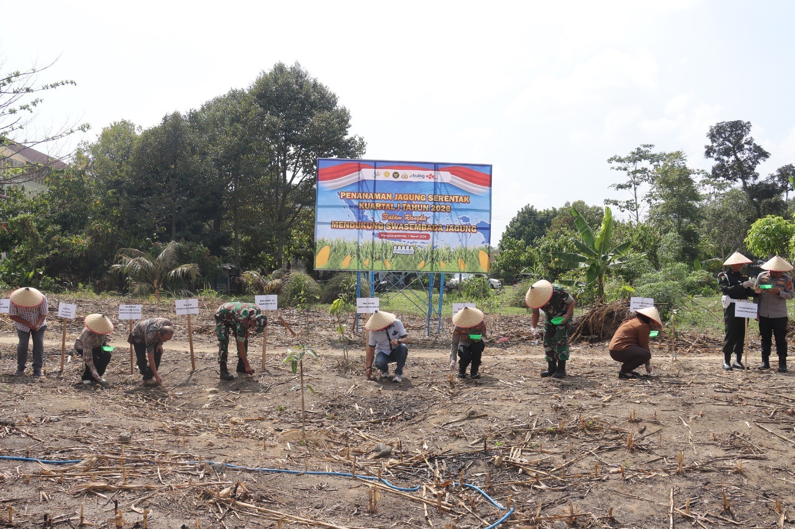 Kapolres Pematangsiantar AKBP Sah Udur dan Forkopimda menanam jagung di UHN Siantar sebagai dukungan program swasembada pangan nasional 2026. 