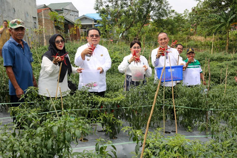 Wali Kota Pematangsiantar Wesly Silalahi SH MKn, Ketua TP PKK Ny Liswati serta Kadis&nbsp;Ketahanan Pangan dan Pertanian Drs Legianto Pardamean Manurung.