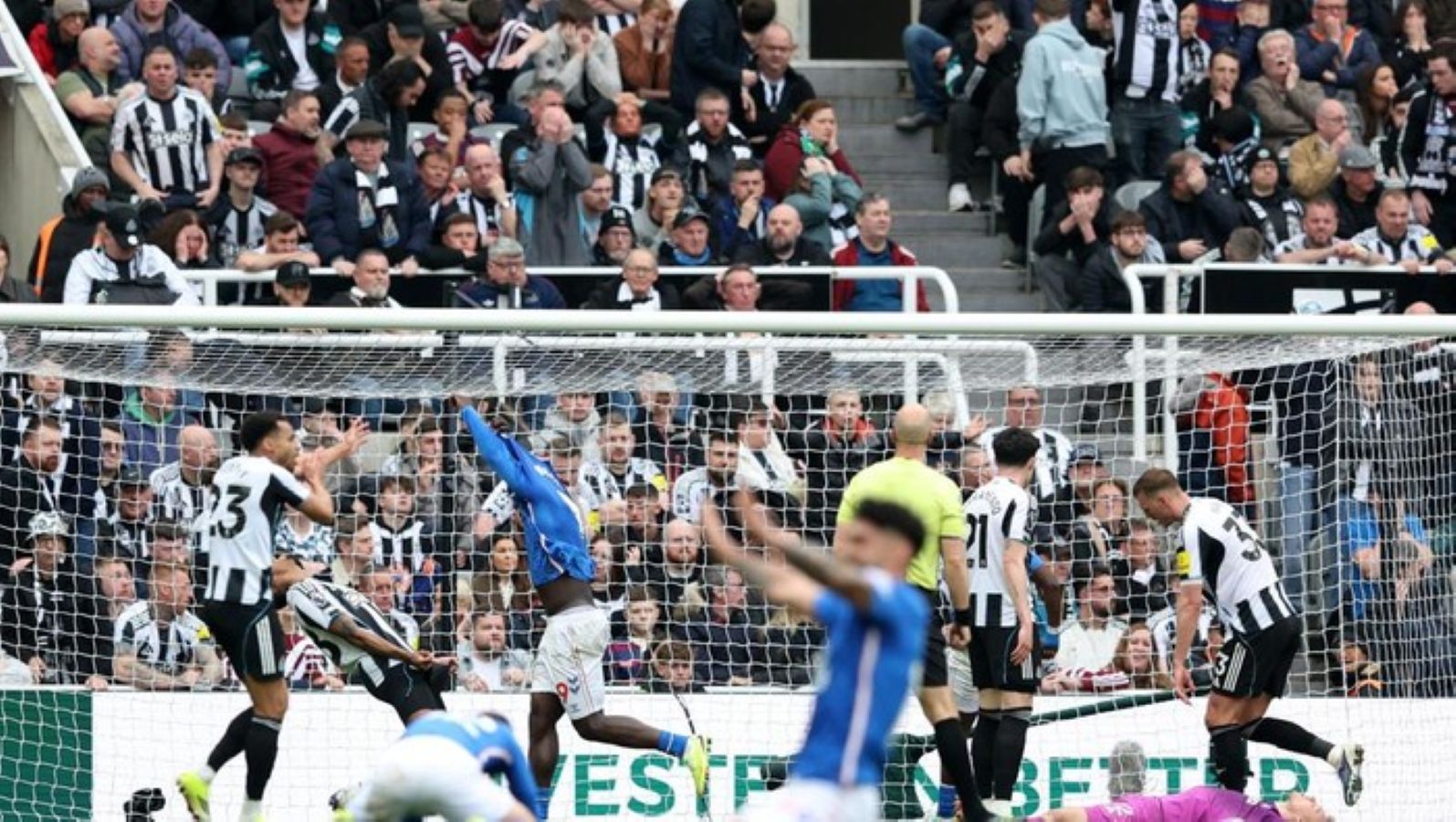Newcastle kalah di kandang sendiri.