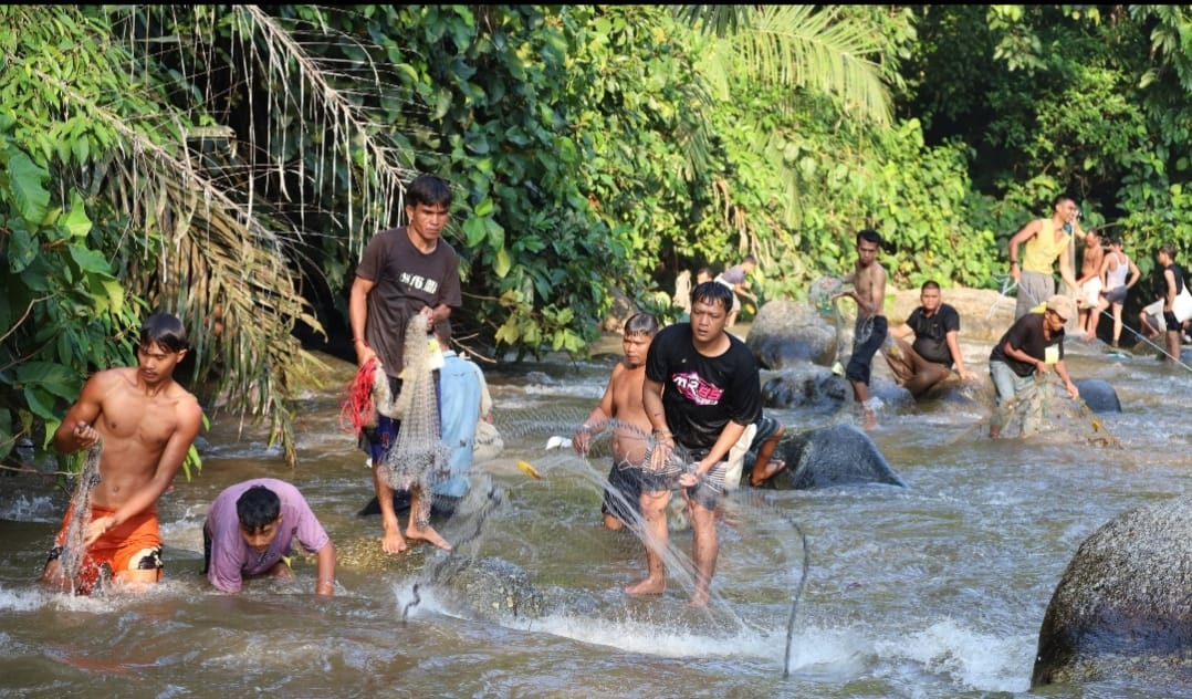 Warga menjala ikan saat pembukaan lubuk larangan di Kelurahan Gunung Baringin, Panyabungan Timur, Mandailing Natal.