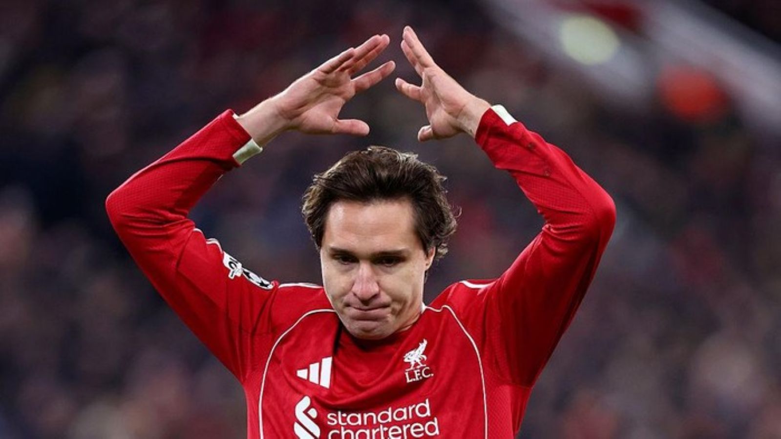 Federico Chiesa disarankan kembali ke Italia untuk memulihkan performa setelah kesulitan beradaptasi dan cedera di Liverpool.