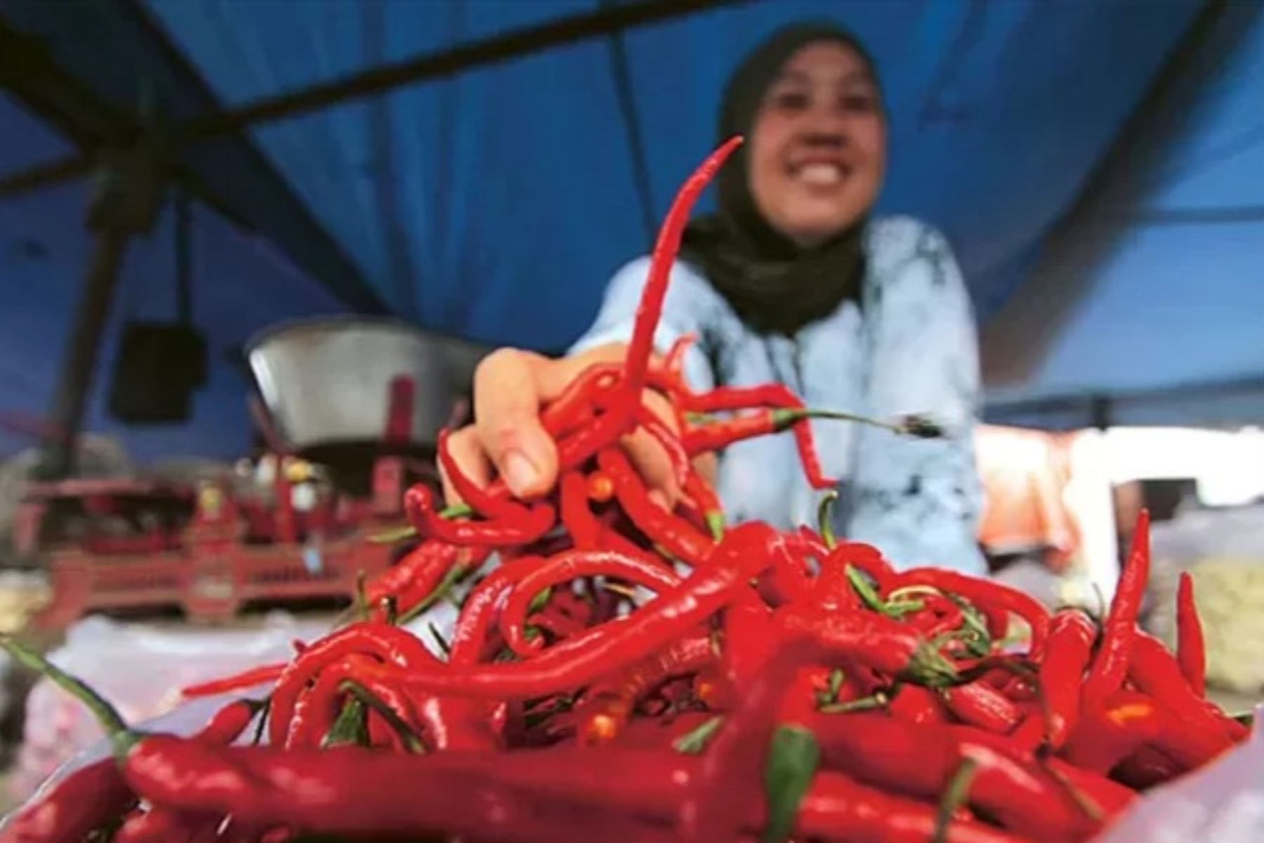 Aktivitas pedagang cabai merah di pasar tradisional Sumatera Utara, harga anjlok pasca Lebaran hingga di bawah HET.