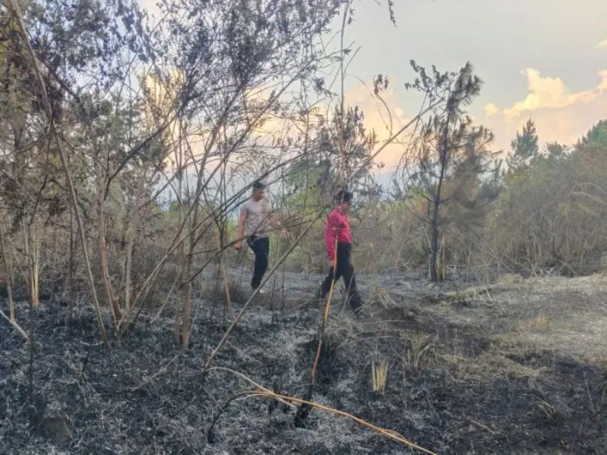Kebakaran hutan dan lahan di Kecamatan Ajibata, Kabupaten Toba, yang sempat meluas hingga dua hektare saat musim kemarau.