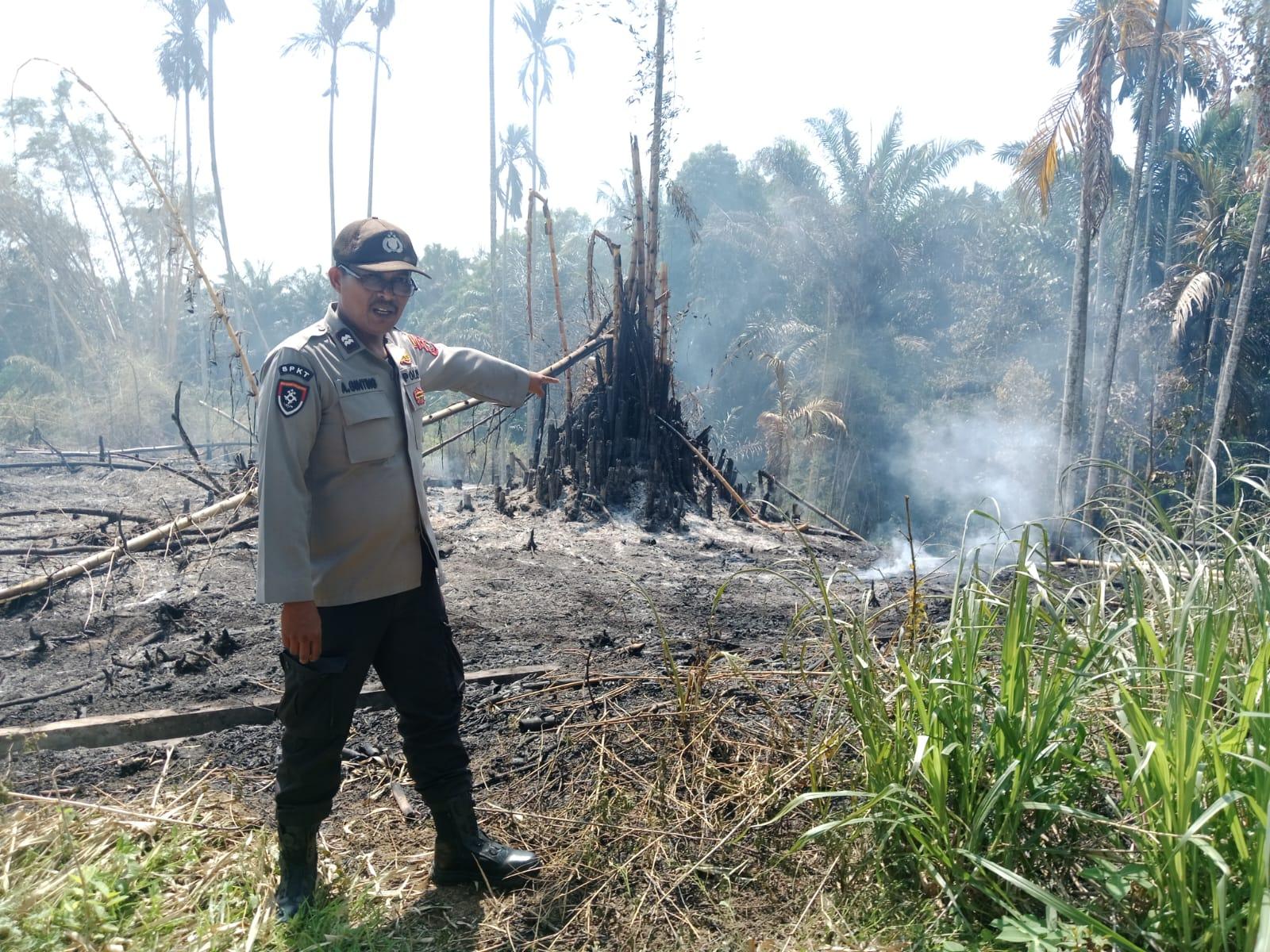 Kebakaran menghanguskan sekitar 4 hektare lahan kebun di Simalungun akibat cuaca panas dan vegetasi kering. 