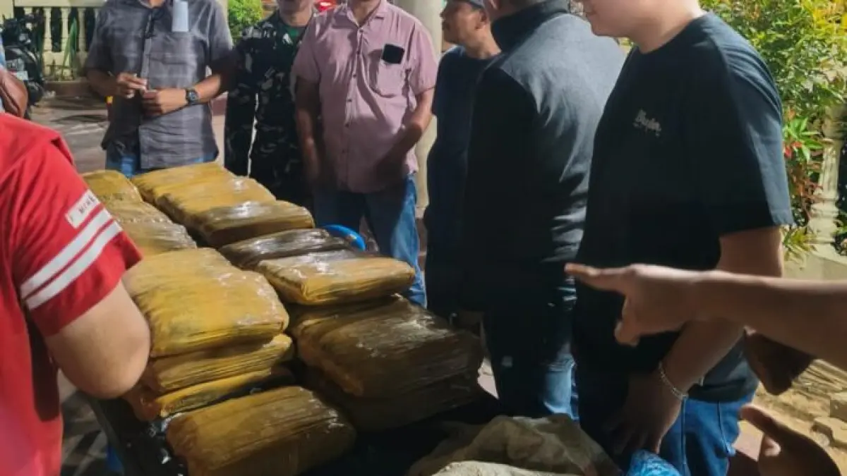 Barang bukti 33 ball ganja kering yang diamankan polisi setelah dibuang pelaku di pinggir jalan Desa Padang Laru, Mandailing Natal.