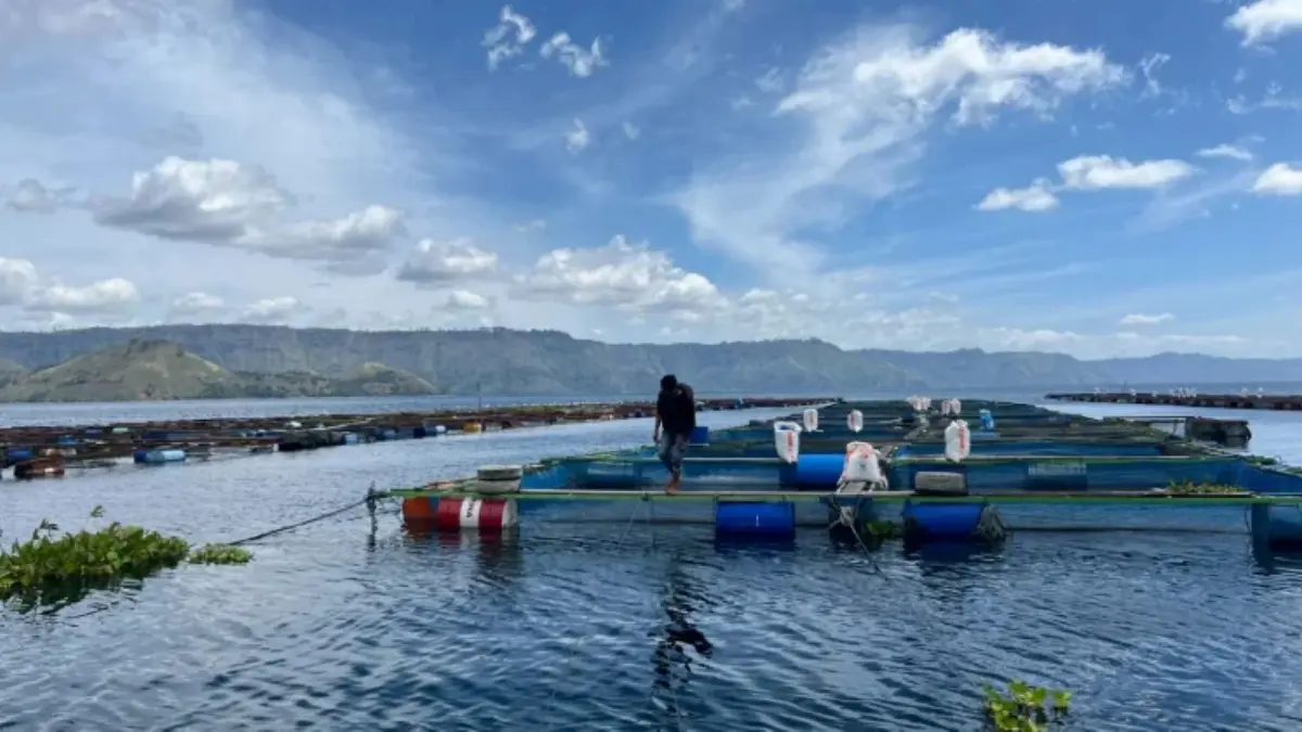 Kondisi permukaan air Danau Toba di Sumatera Utara yang terlihat surut, namun masih dinyatakan dalam batas normal oleh BMKG.