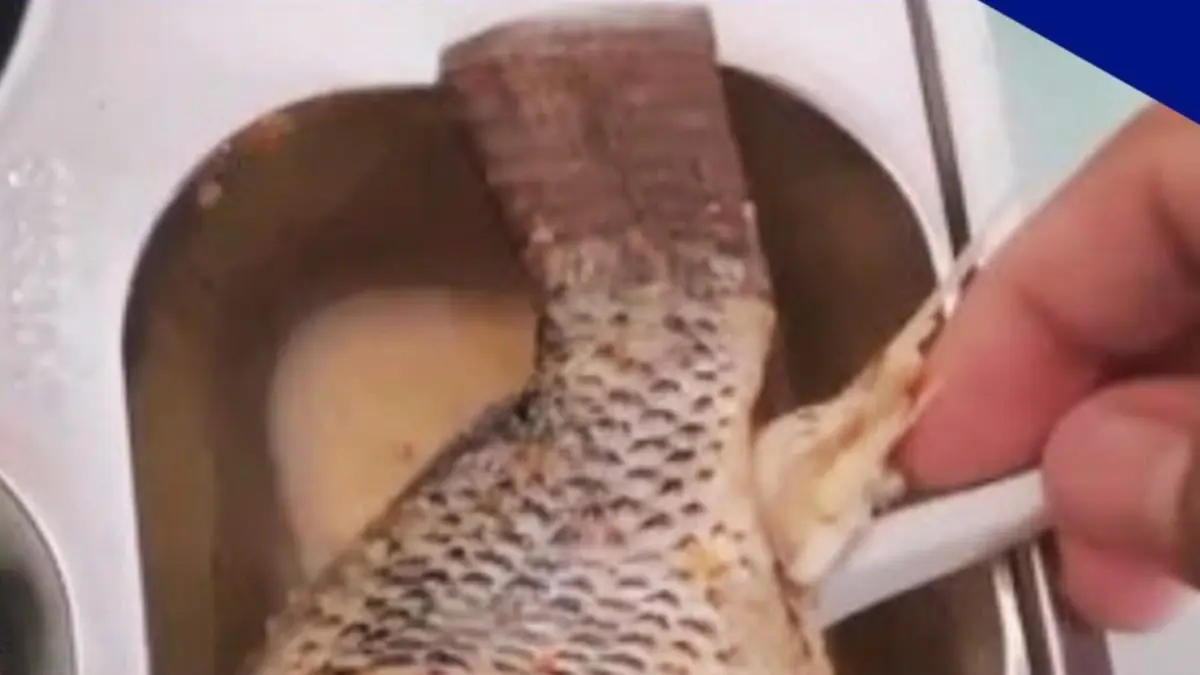 Tangkapan layar video siswa SD di Asahan yang menolak menu MBG karena ikan diduga berbau amis.