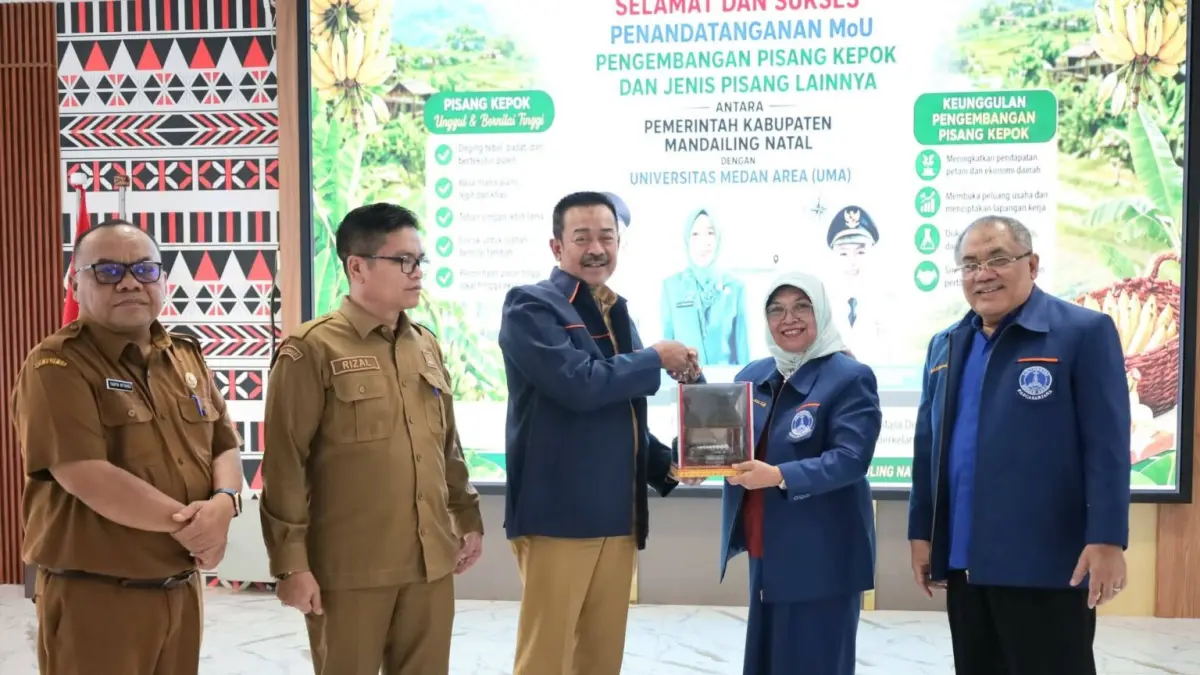 Bupati Mandailing Natal Saipullah Nasution bersama pihak Universitas Medan Area menandatangani MoU pengembangan pisang kepok di Panyabungan.