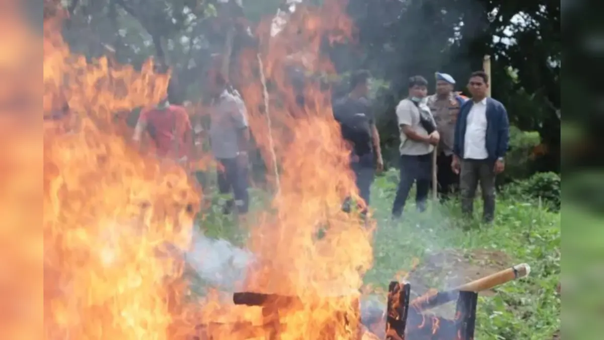 Polres Karo membongkar dan membakar gubuk yang diduga menjadi barak narkoba dan perjudian di kawasan perladangan Desa Sukatendel, Tiganderket, Selasa (28/4/2026).