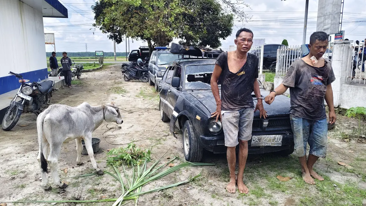 Dua pelaku pencurian anak sapi diamankan warga dan polisi setelah aksi kejar-kejaran berakhir dengan kecelakaan di Simalungun.