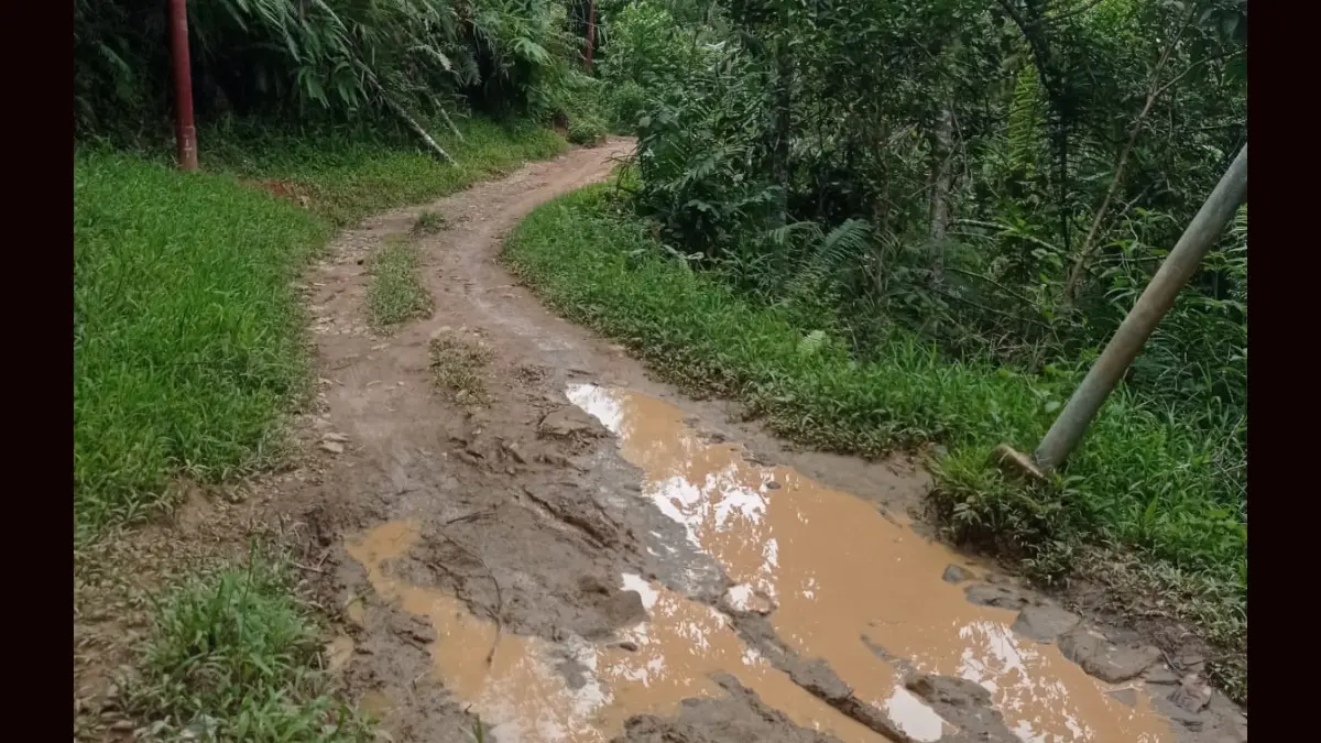 Kondisi jalan dan jembatan di Desa Aek Holbung, Kecamatan Batang Natal, Mandailing Natal yang rusak dan dikeluhkan warga.