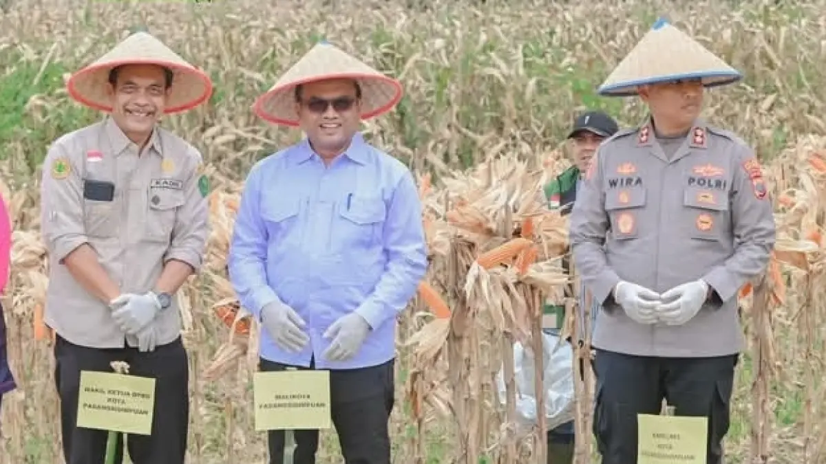 Wali Kota Padangsidimpuan Letnan Dalimunthe bersama Kapolres Wira Prayatna melaksanakan panen raya jagung kuartal II tahun 2026 di Desa Pintu Langit Jae.