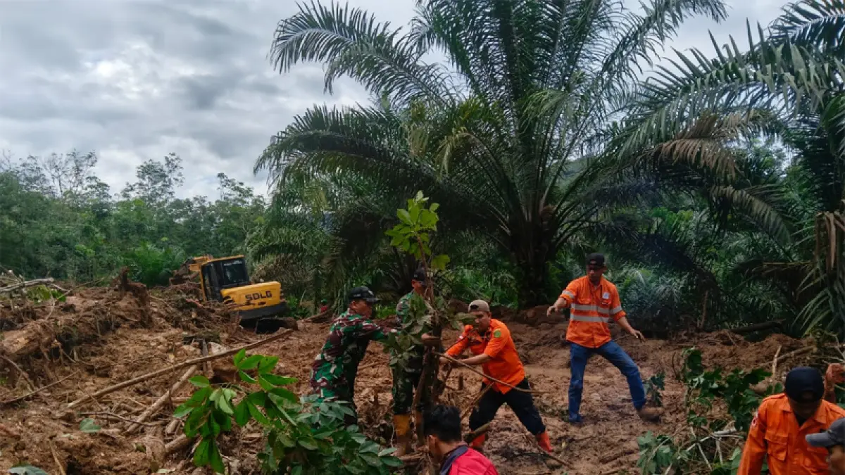 Upaya Evakuasi oleh personil BPBD, TNI dan perusahaan di lokasi longsor Batangtoru, Kabupaten Tapsel, Selasa (19/5/2026). (Samman/Metro Tabagsel)