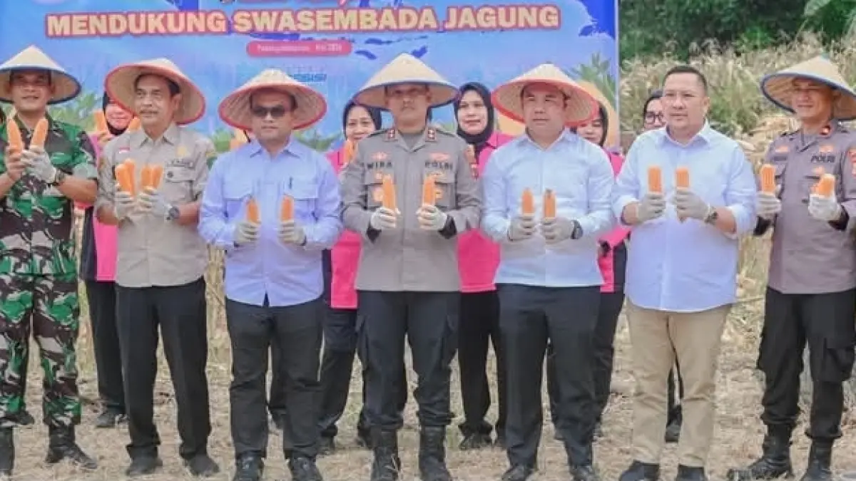 Wali Kota Padangsidimpuan Dr. H. Letnan Dalimunthe bersama Kapolres AKBP Dr. Wira Prayatna saat mengikuti panen raya jagung kuartal II tahun 2026 di Desa Pintu Langit Jae.