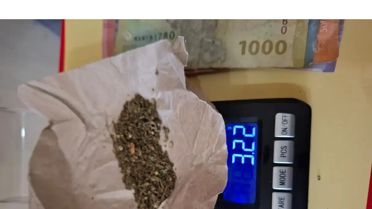 Barang bukti ganja, uang tunai, telepon genggam, dan sepeda motor yang diamankan polisi dari tangan tersangka pengedar narkoba di Pasar Sibuhuan, Kabupaten Padang Lawas.