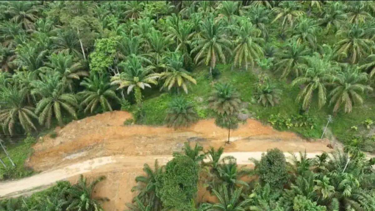 Proyek peningkatan struktur jalan di Kabupaten Padang Lawas Utara yang dikerjakan Pemprov Sumut melalui Dinas BMBK Sumut.