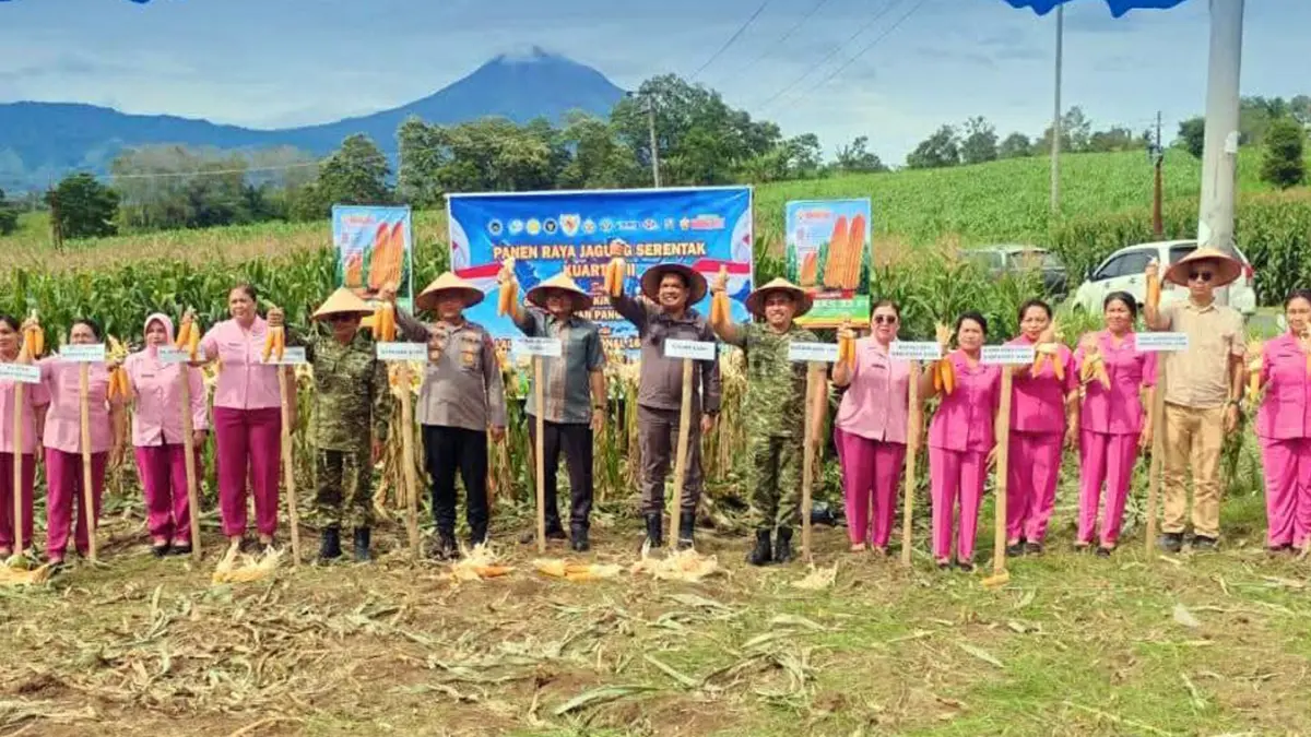  Wakil Bupati Karo Komando Tarigan menghadiri kegiatan panen raya jagung serentak di Kecamatan Tigabinanga, Kabupaten Karo, Sabtu (16/5/2026). 