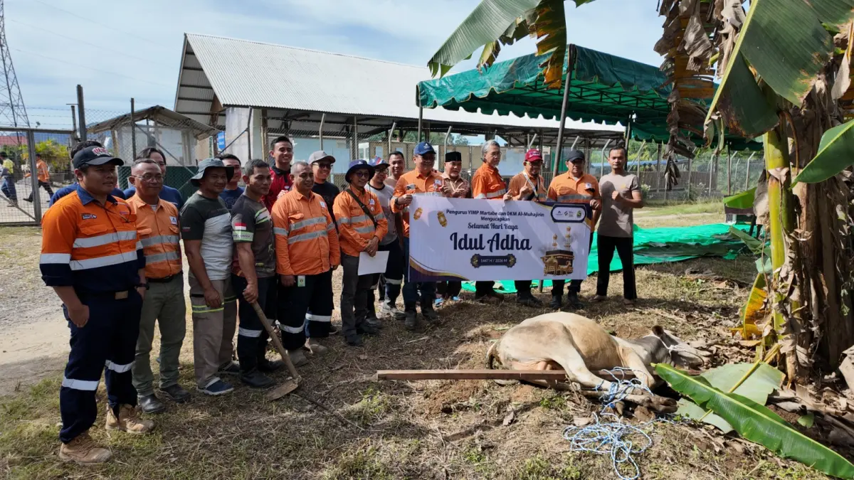 Penyaluran hewan kurban dari PT Agincourt Resources kepada masyarakat di Kecamatan Batang Toru, Tapanuli Selatan, Rabu (27/5/2026). Sebanyak 15 hewan kurban dibagikan kepada desa lingkar tambang serta wilayah terdampak banjir dan longsor.