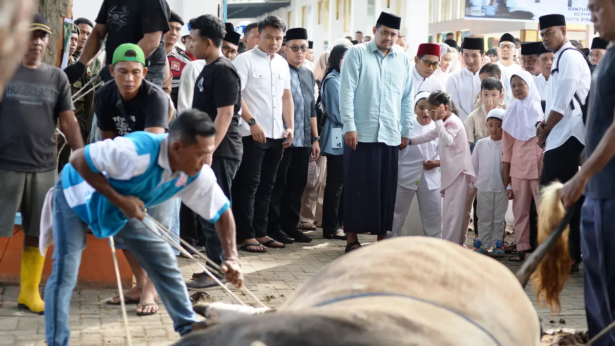 Gubernur Sumut Bobby Nasution bersama Wakil Gubernur Sumut Surya melaksanakan Salat Iduladha 1447 Hijriah bersama ribuan warga di Lapangan Merdeka Kota Binjai, Rabu (27/5). Pada kesempatan itu Bobby juga menyaksikan penyembelihan sapi kurban bantuan Presiden RI.