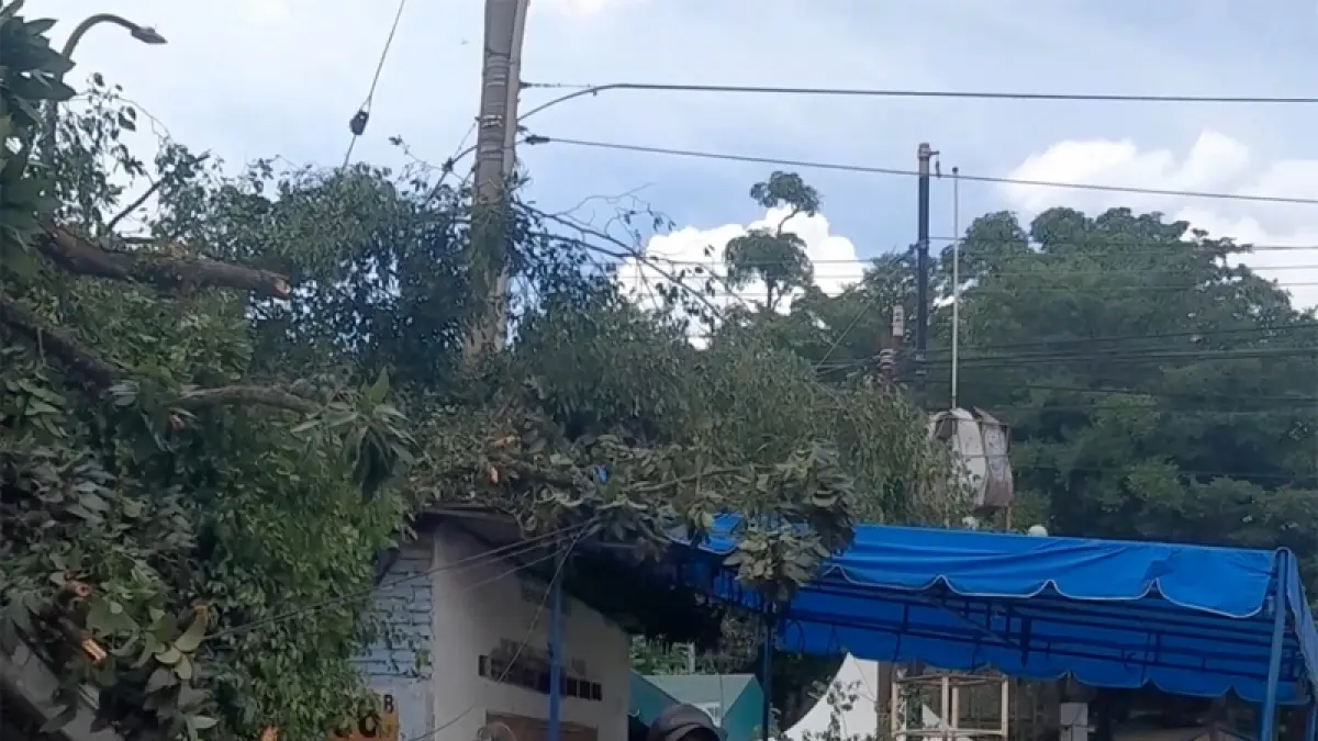 Lokasi bengkel las yang tertimpa pohon tumbang.