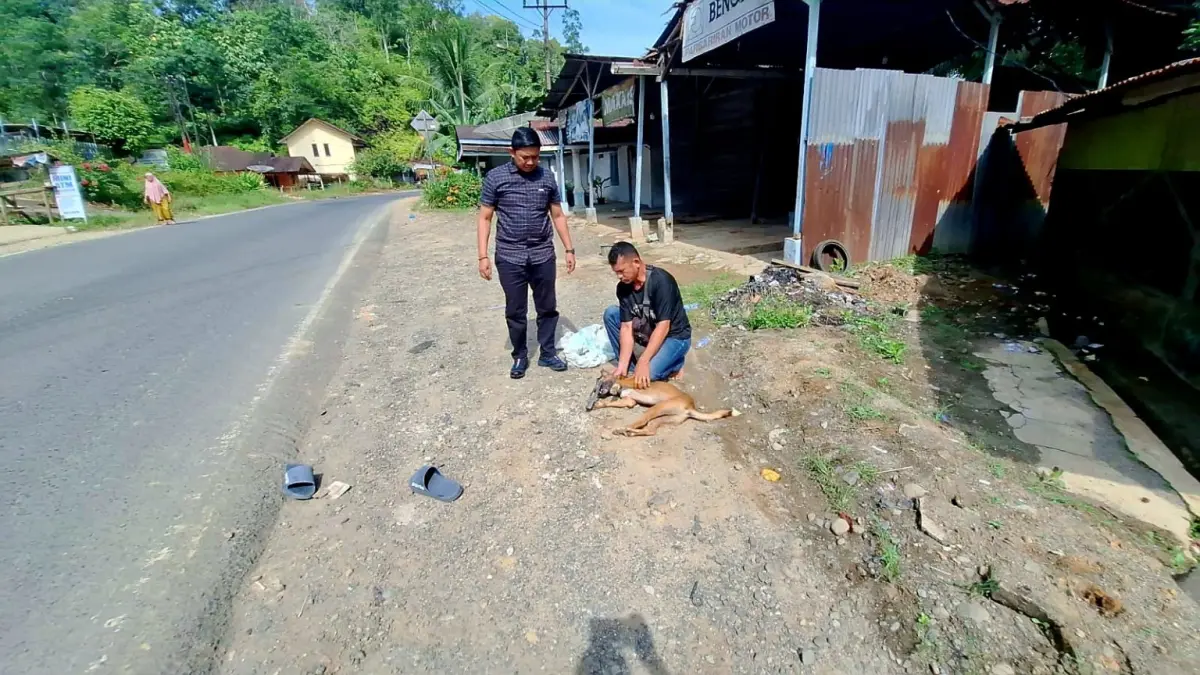 Personel Polsek Batang Toru saat mengamankan seekor anjing liar yang diduga menggigit lima warga di Kecamatan Batang Toru, Tapanuli Selatan.