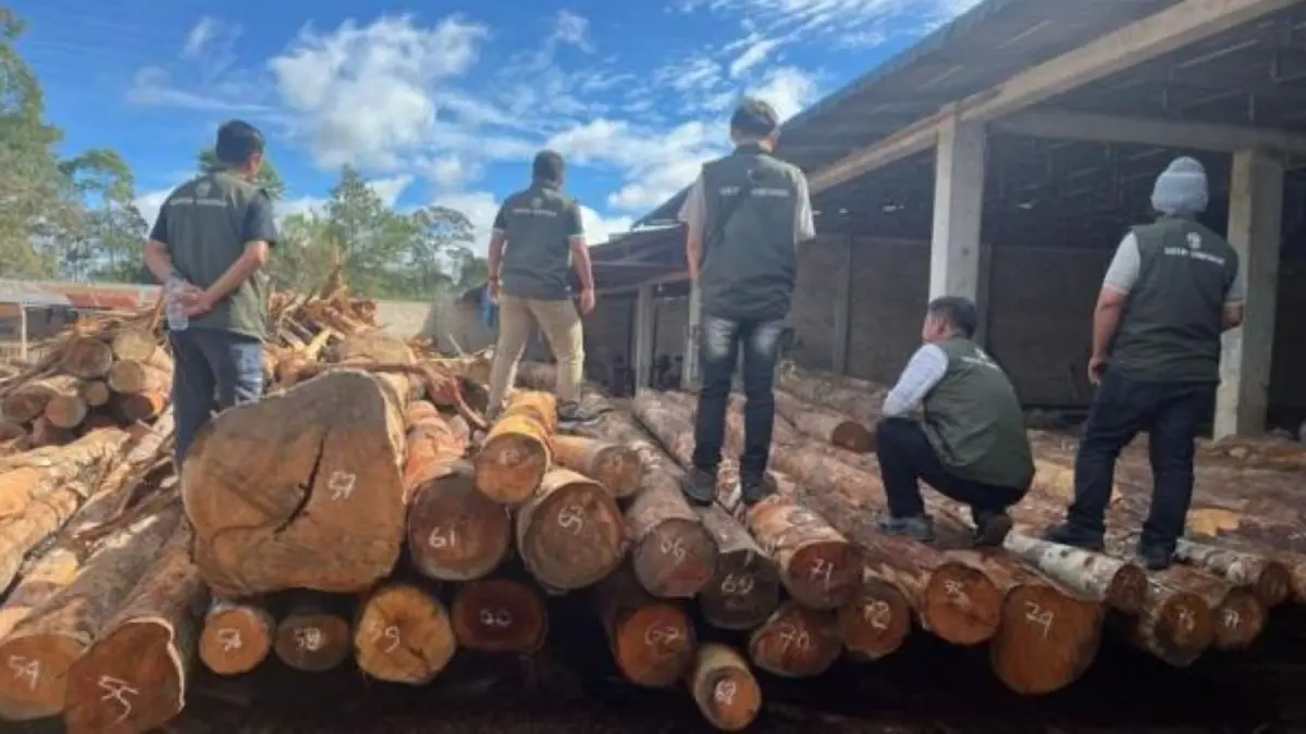 Petugas Balai Gakkum Kehutanan Wilayah Sumatera bersama KPH XIII Humbang Hasundutan mengamankan 219 batang kayu log tanpa barcode dan dokumen legalitas dari sebuah sawmill di Desa Aek Lung, Kecamatan Dolok Sanggul, Kabupaten Humbang Hasundutan. 