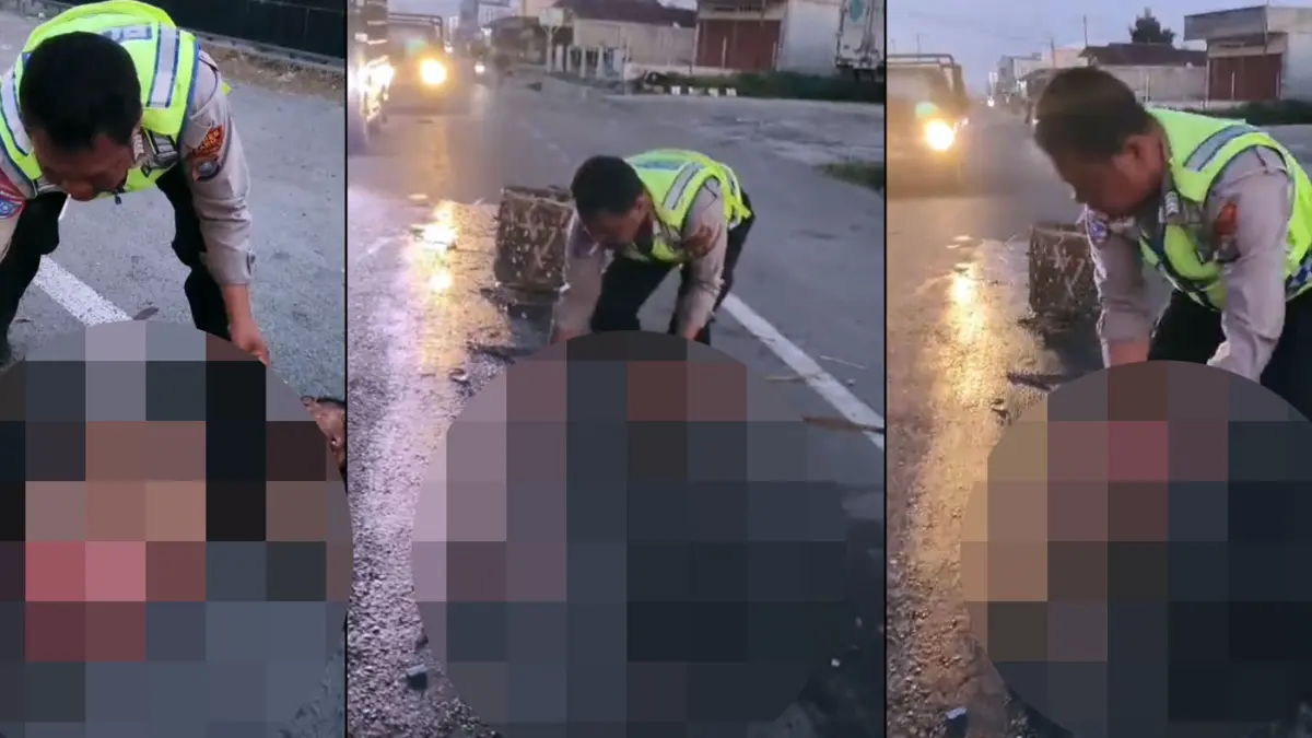 Bripka Bagus Sembiring, personel Satlantas Polres Karo, mengevakuasi korban tabrak lari yang meninggal dunia dengan kondisi tubuh terburai di Jalan Kabanjahe–Tigapanah, depan SPBU Mulawari, Kecamatan Tigapanah, Minggu (14/6/2026). Aksi kemanusiaannya viral di media sosial dan menuai apresiasi dari masyarakat.