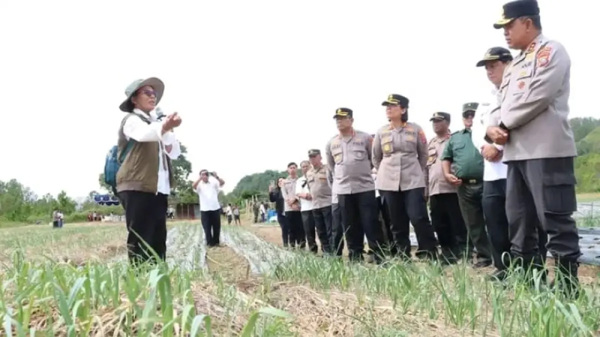  Bupati Samosir Vandiko Timotius Gultom bersama Kapolda Sumut Irjen Pol Whisnu Hermawan Februanto meninjau pengembangan tanaman bawang putih di Desa Maduma, Kecamatan Simanindo, sebagai bagian dari upaya menjadikan Samosir sentra bawang putih nasional. 