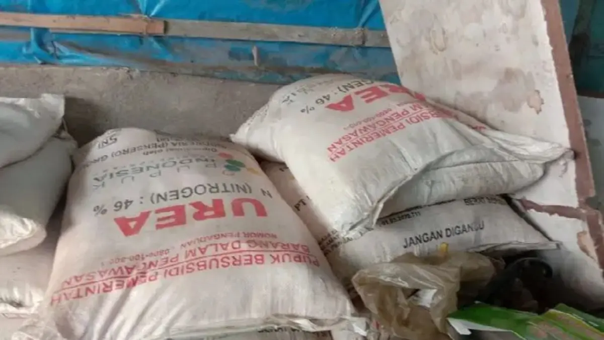 Stok pupuk subsidi dari Pupuk Indonesia tersedia di kios penyalur. Dinas Pertanian Toba menyebut keterlambatan distribusi dipicu lambatnya penebusan oleh PUD.